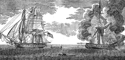 Wasp Captures 10 Ships