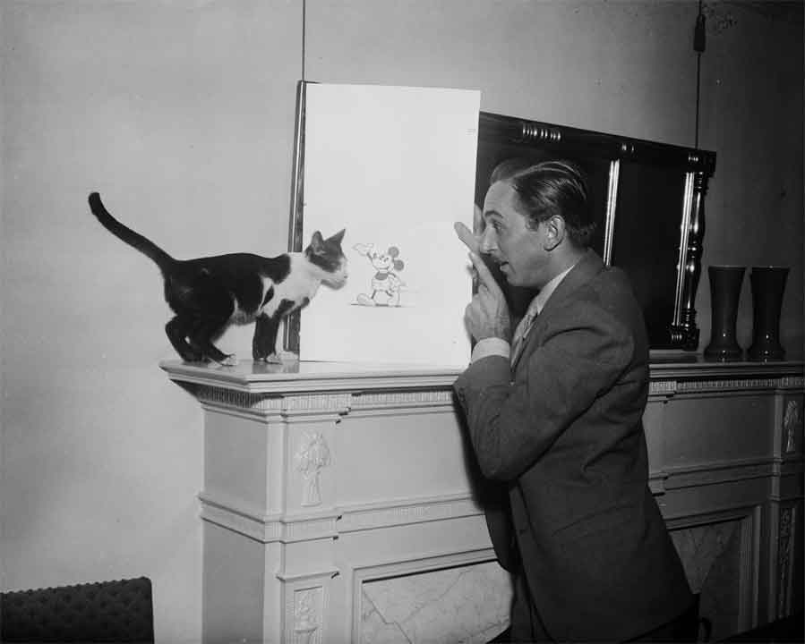 Walt Disney