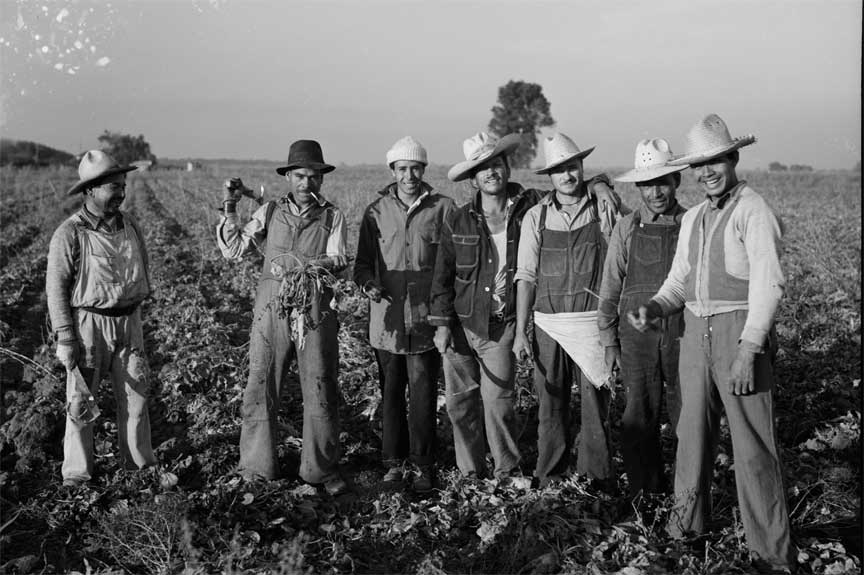 The Agricultural Adjustment Act