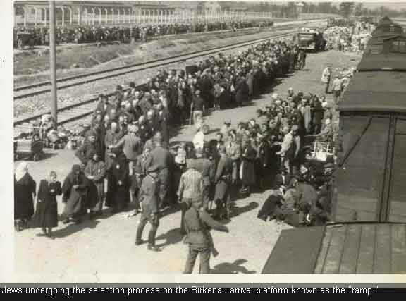Auschwitz
